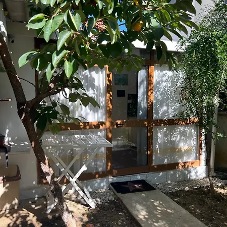 Studio Tirana Tirana